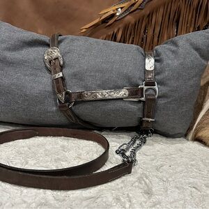 Dark Oil Yearling Silver Halter with Lead w/Chain